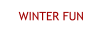WINTER FUN